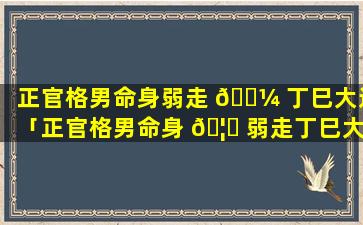 正官格男命身弱走 🌼 丁巳大运「正官格男命身 🦆 弱走丁巳大运好吗」